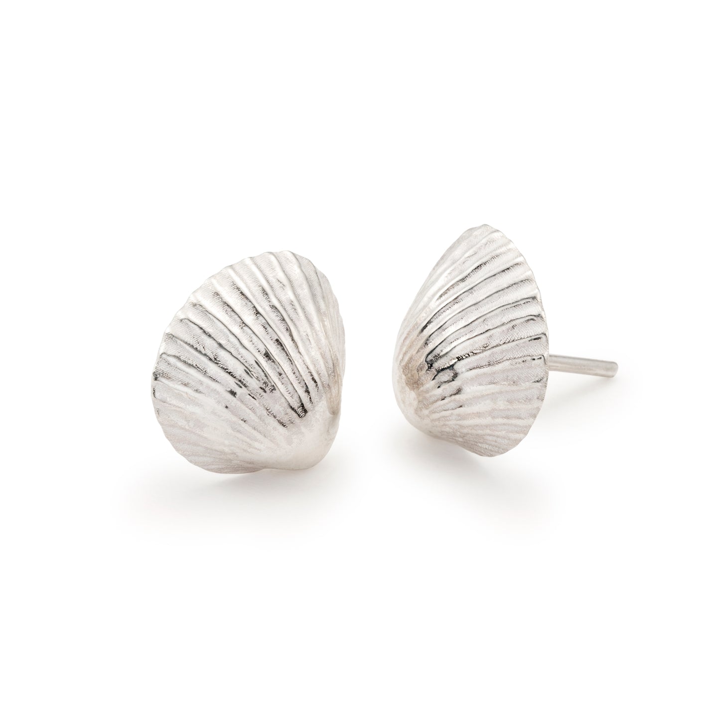 Pendientes Ocean Shell Studs